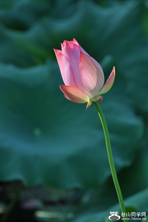 DSC_0152.JPG