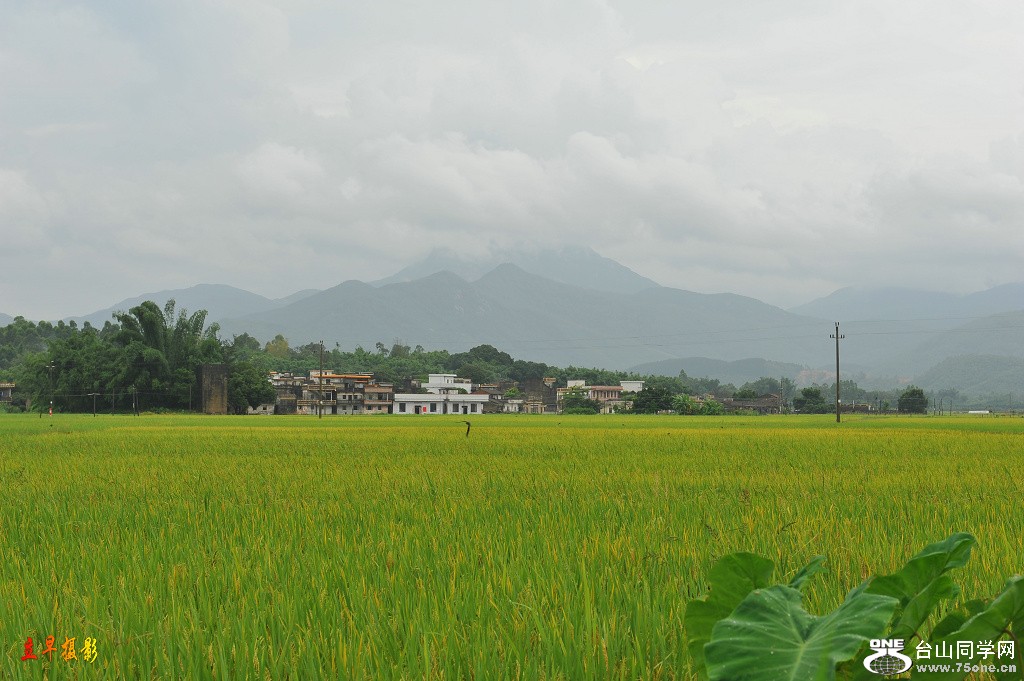 DSC_2547.JPG