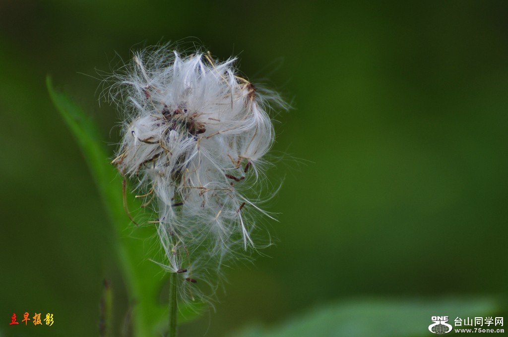 DSC_0008.JPG
