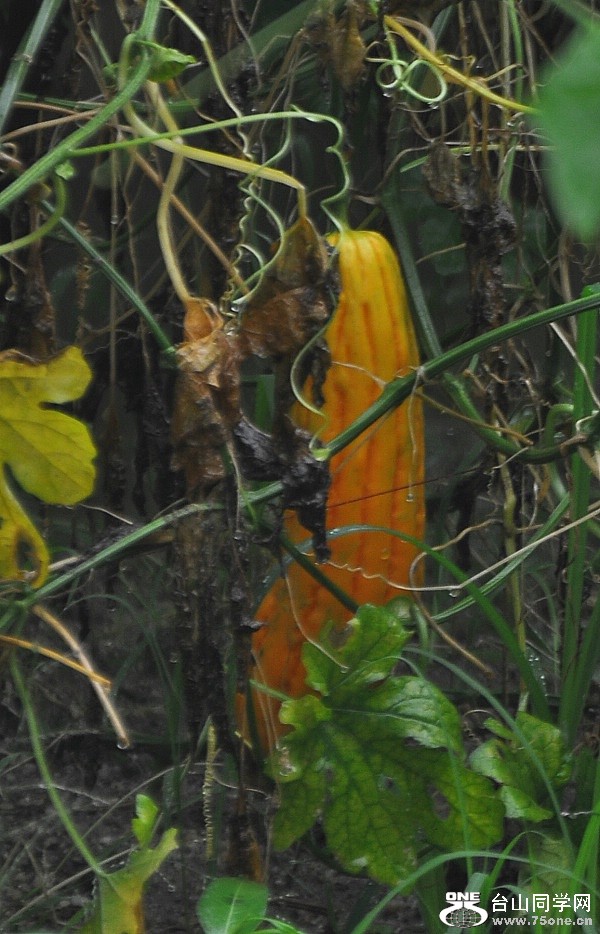 DSC_0311.JPG