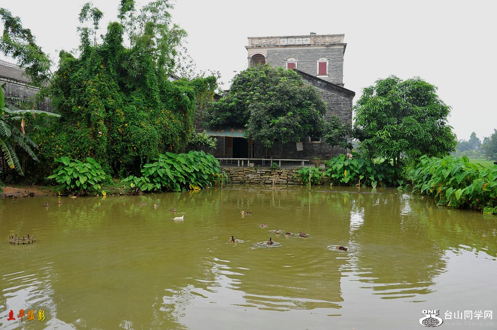 DSC_2018.JPG