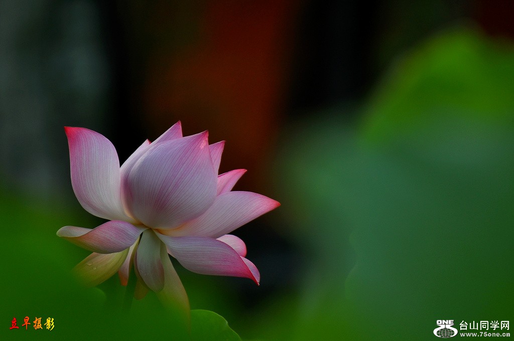 DSC_0122.JPG