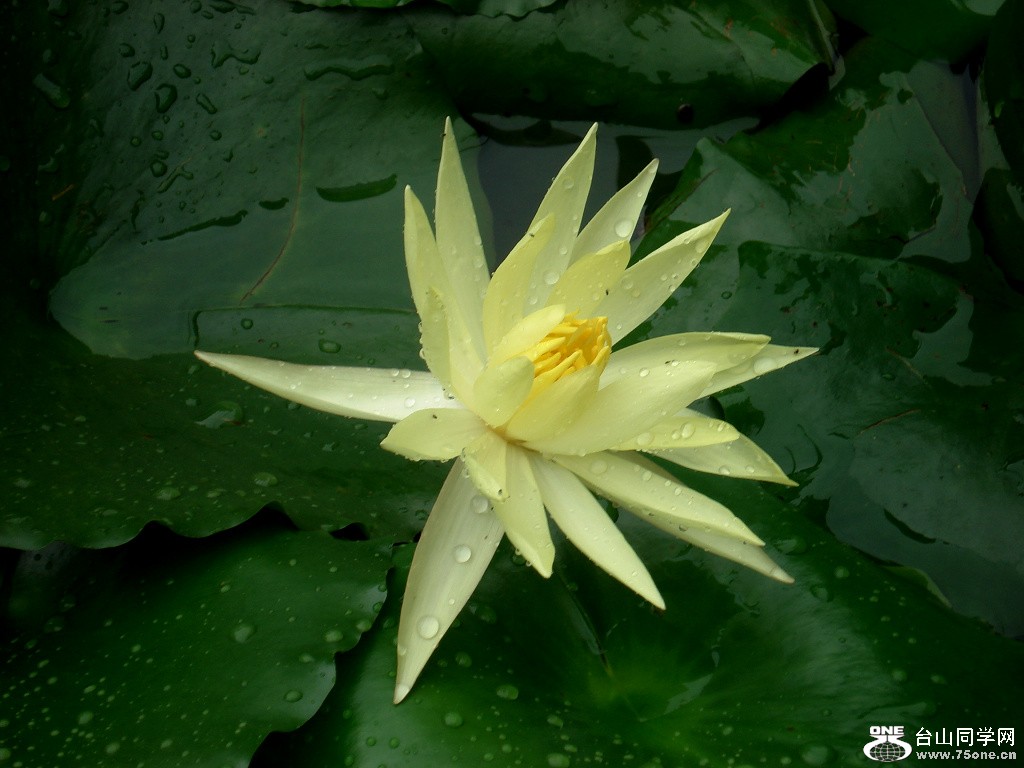 DSC00144.JPG