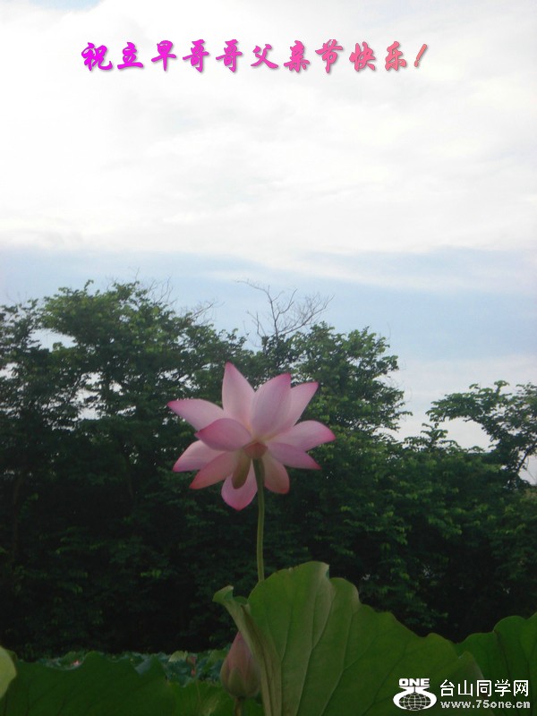 DSC00245.jpg