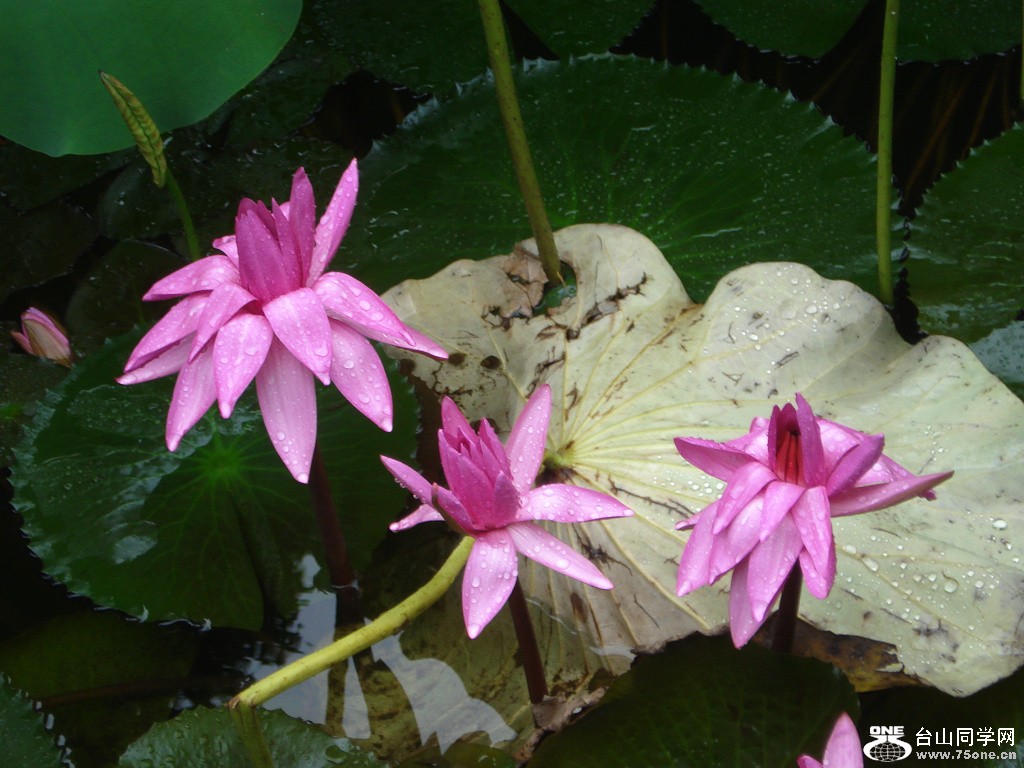 DSC05652.jpg