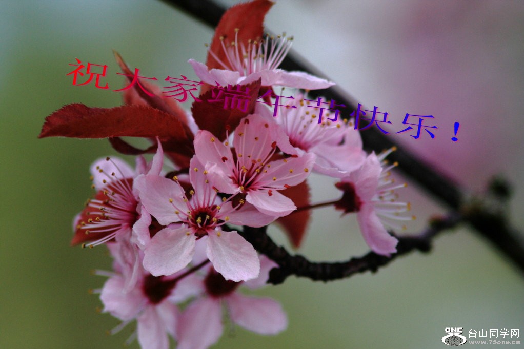 ףҶڿ֣.jpg