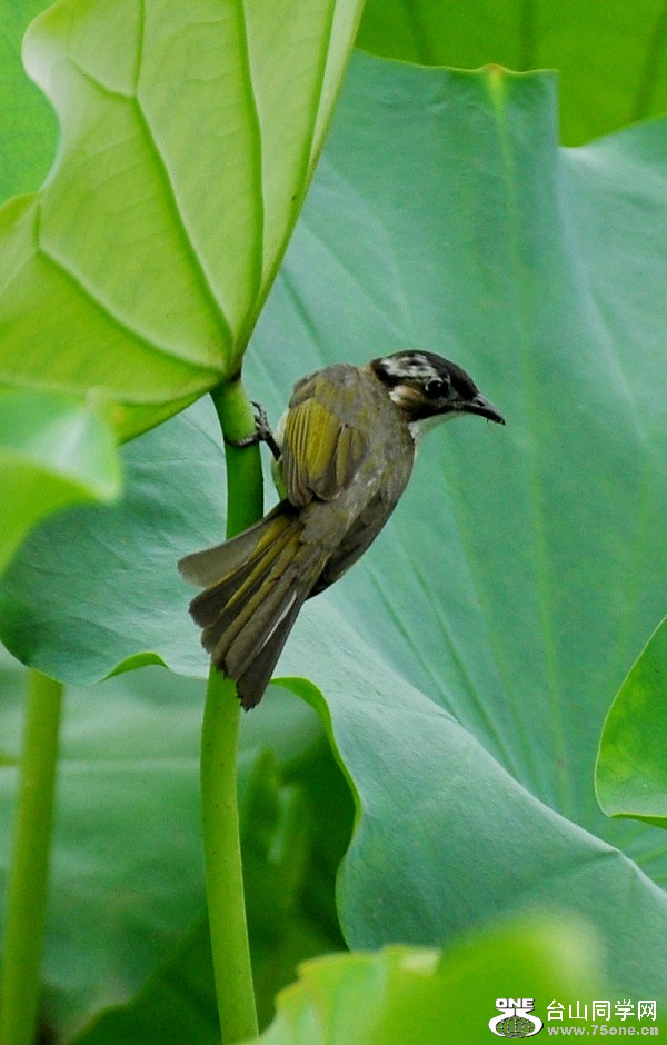 DSC_0417.JPG