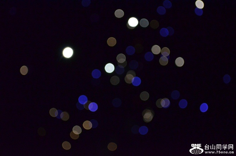 DSC_0982.JPG