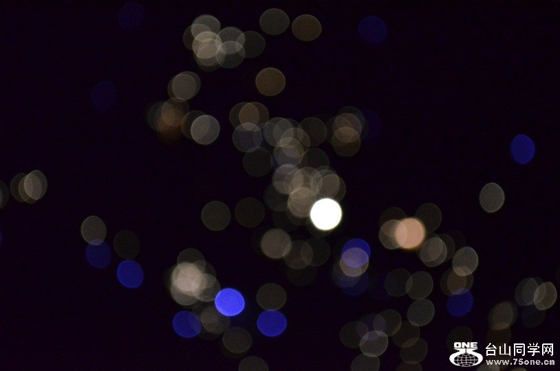 DSC_0984.JPG