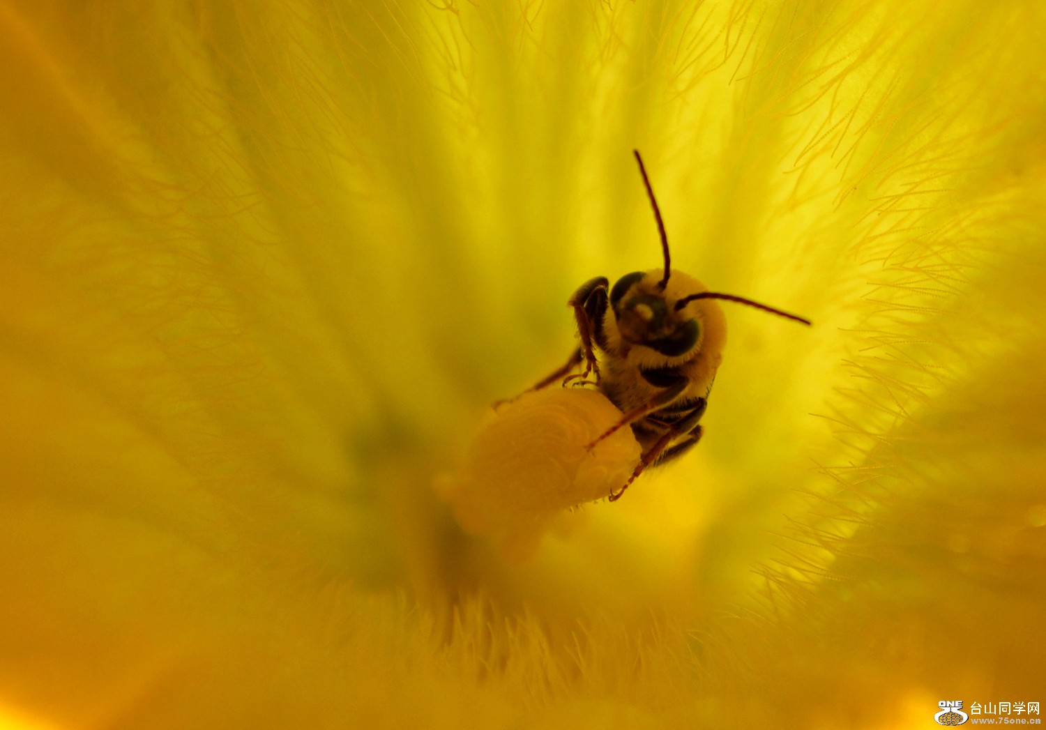 dsc_0414_3.jpg