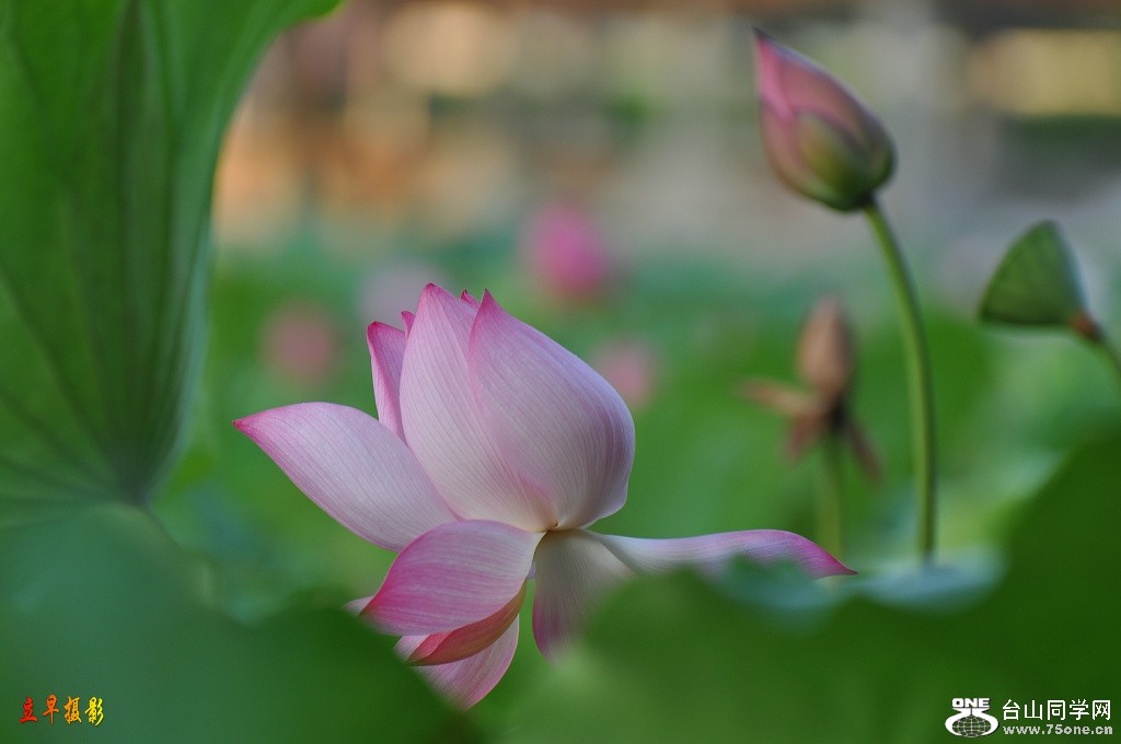 DSC_1537.JPG