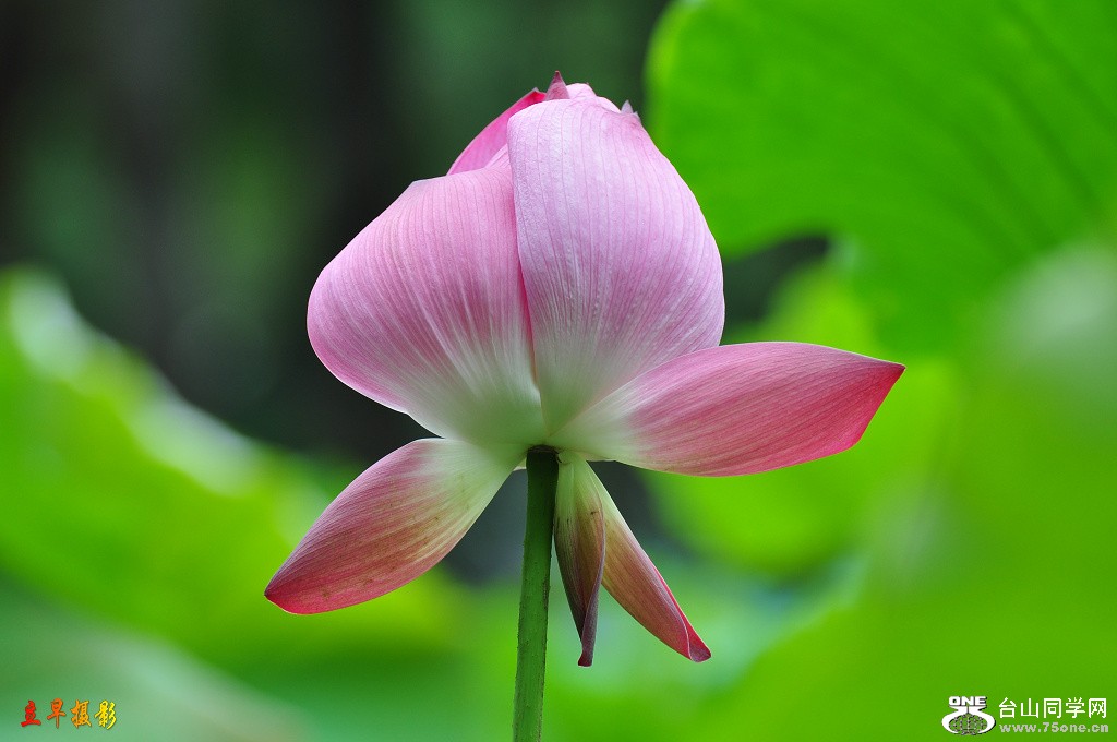 DSC_0768.JPG