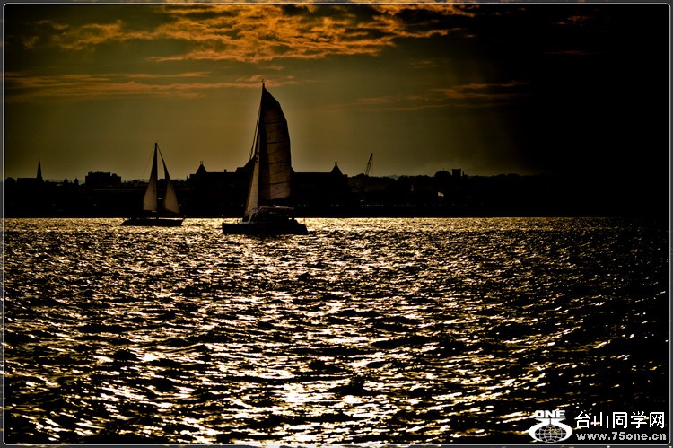 _DSC7037a.jpg