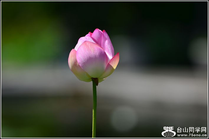 DSC_0318-2.jpg