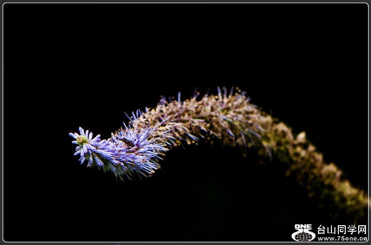 105_35075_df9b2ab167ed6ec.jpg