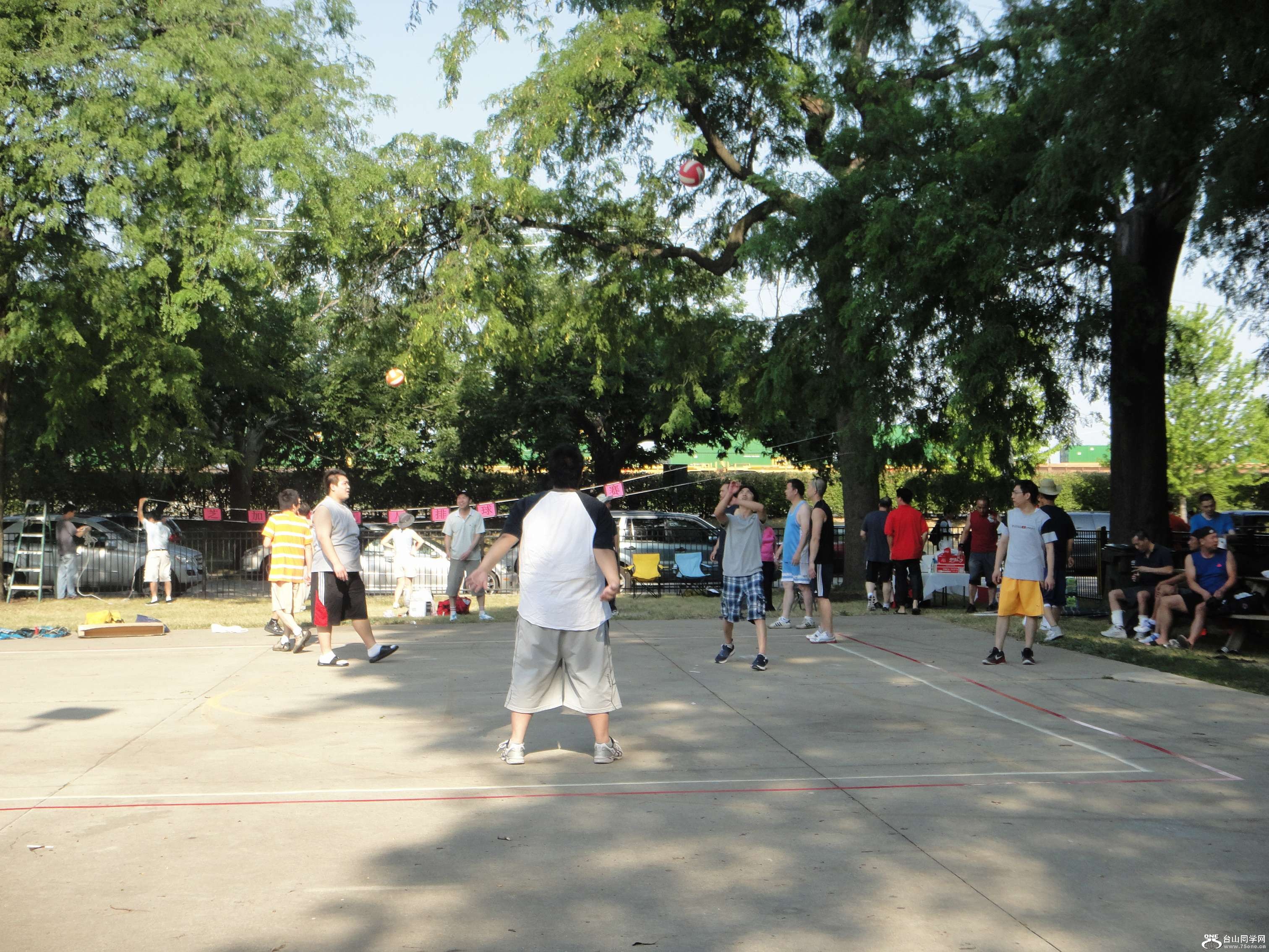 64.jpg