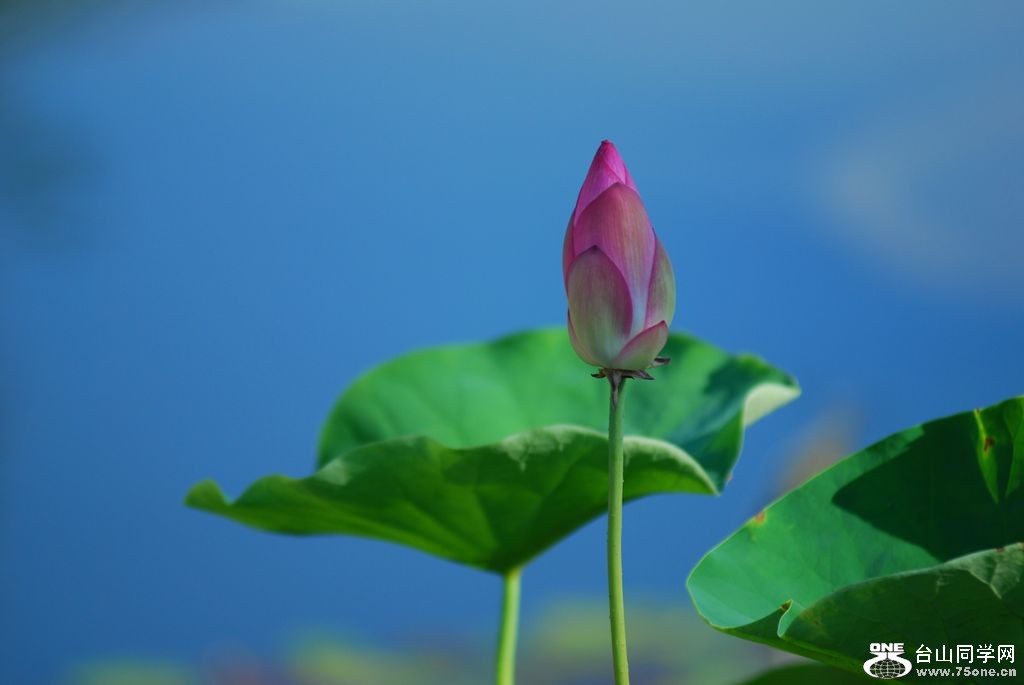 nEO_IMG_DSC_0292.jpg