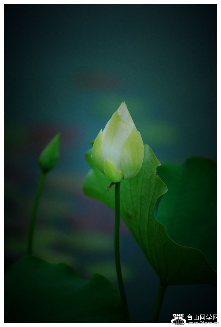 nEO_IMG_DSC_1082.jpg