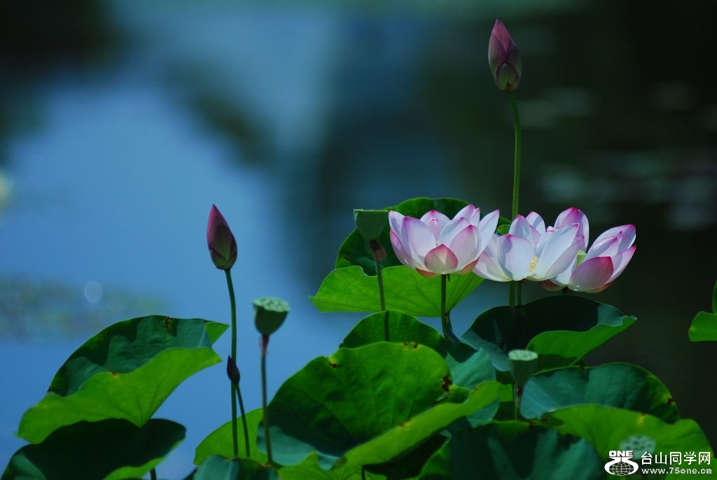 nEO_IMG_DSC_0358.jpg