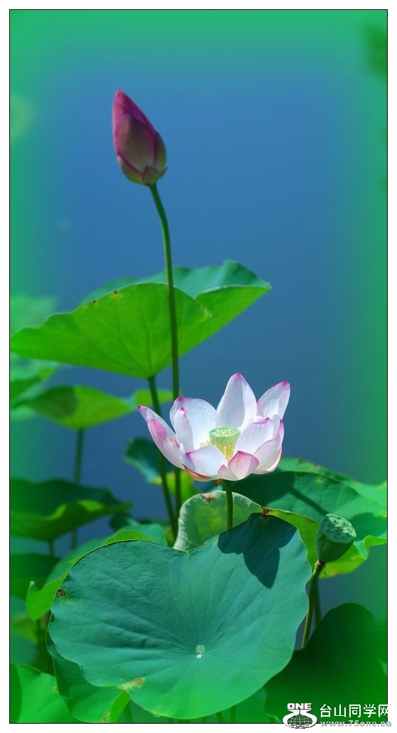 nEO_IMG_DSC_0262.jpg