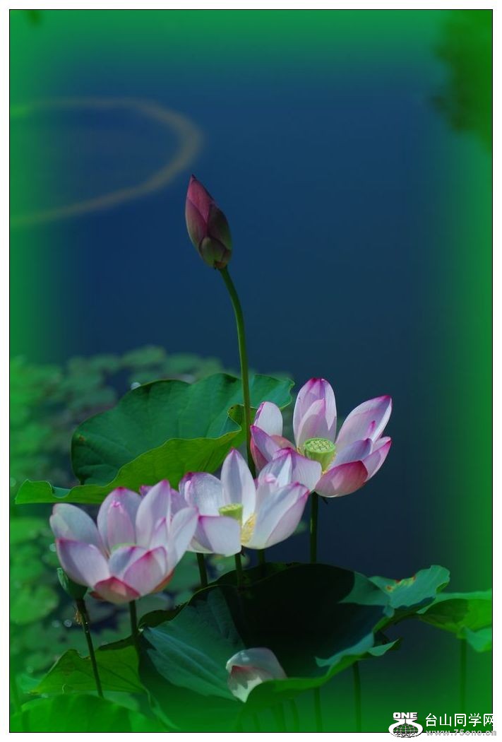 nEO_IMG_DSC_0268.jpg