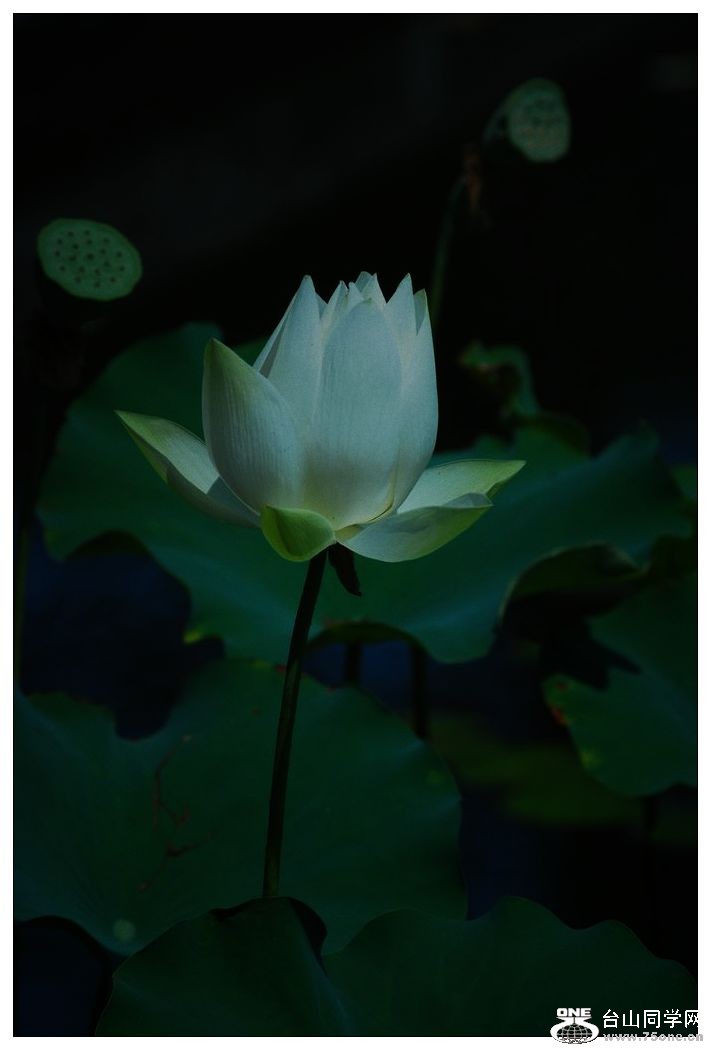 nEO_IMG_DSC_0302.jpg