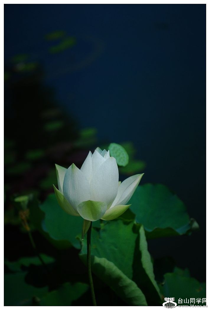 nEO_IMG_DSC_0277.jpg