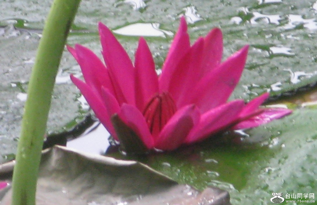 65.jpg