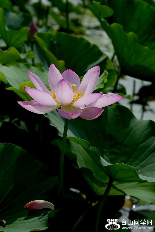 DSC_7848.jpg