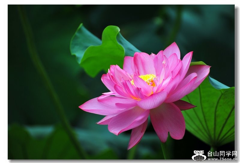 DSC_3228.jpg