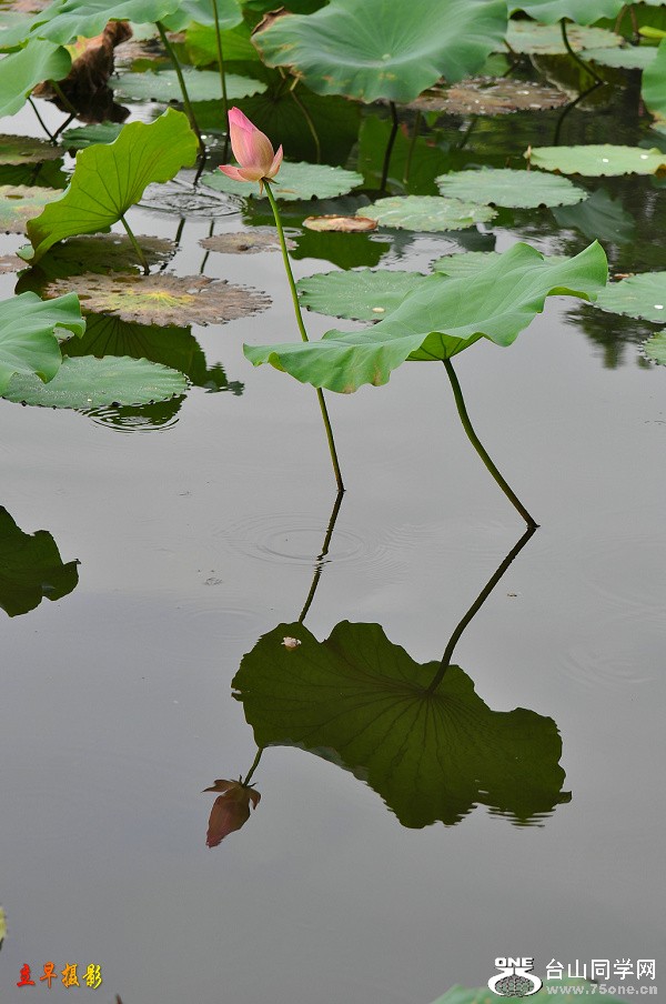DSC_0451.JPG