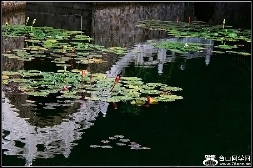 18_741_3e0020b2080b5fb.jpg
