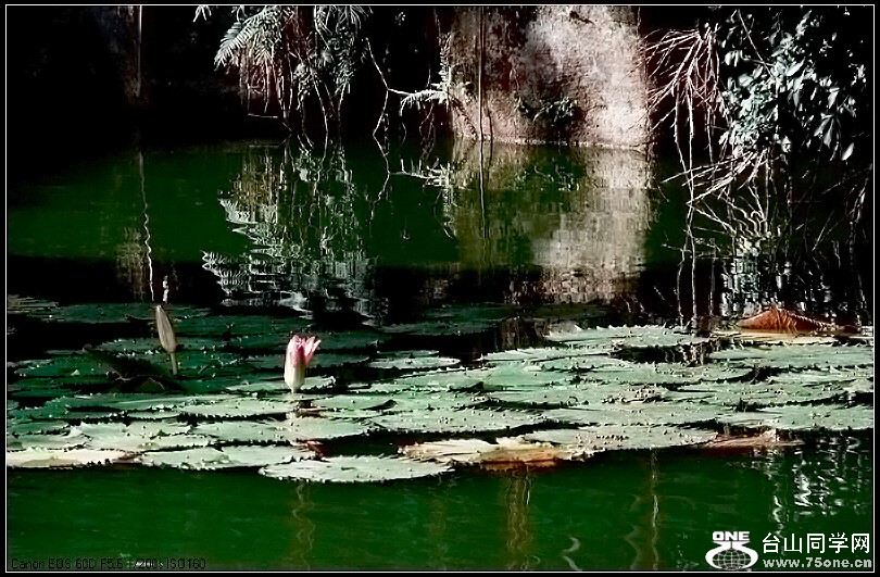 EOS D60 014.jpg