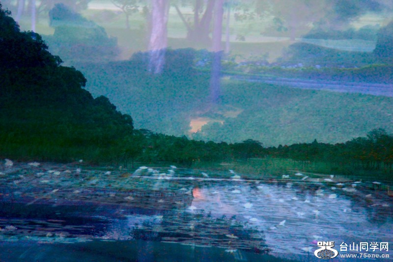 nEO_IMG_߶˯ 005.jpg