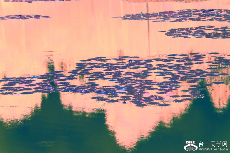 nEO_IMG_߶˯ 082.jpg