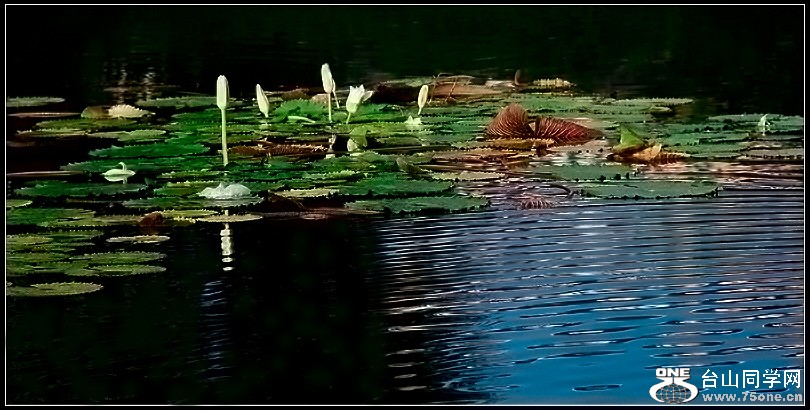 EOS D60 098.jpg