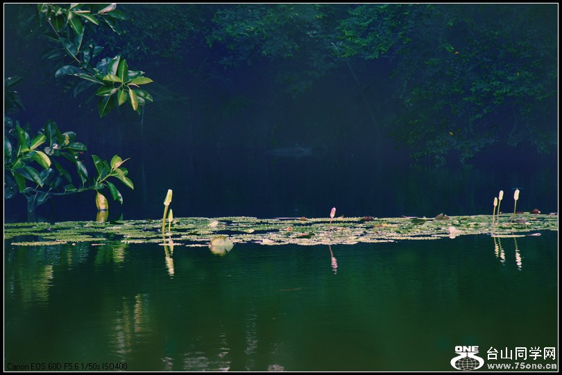 EOS D60 069.jpg