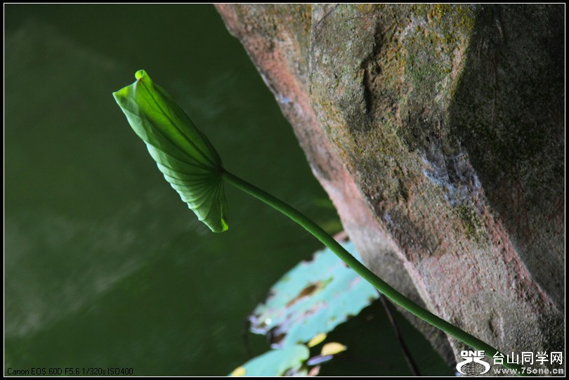 EOS D60 176.jpg
