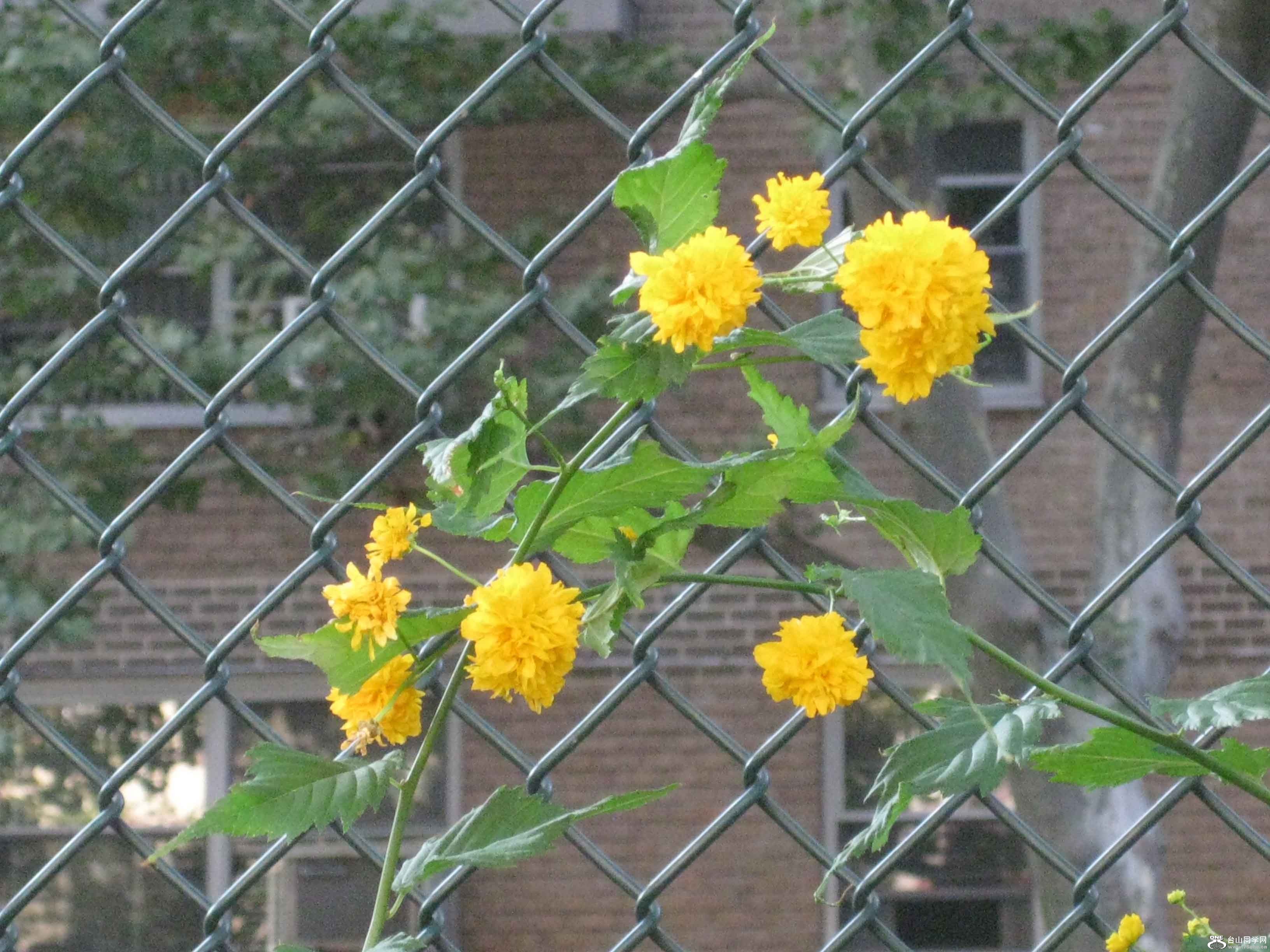 IMG_9199.JPG
