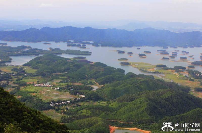 _MG_8328_conew1.jpg