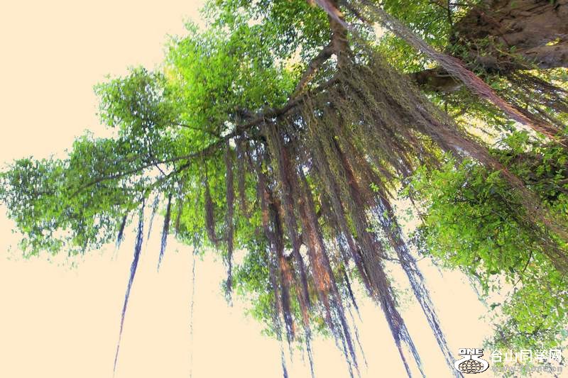 _MG_7438.jpg