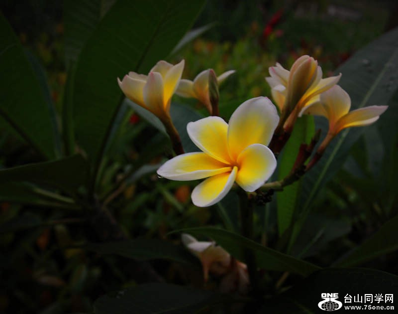 IMG_5708_conew1.jpg