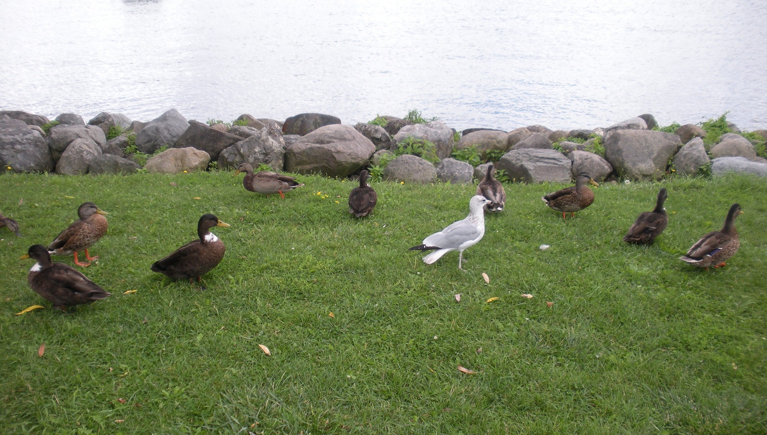 Finger Lakes 3rd day (34).jpg