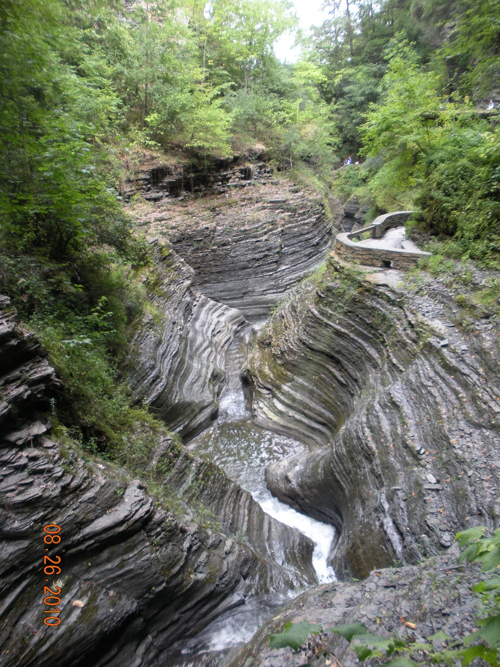 Finger Lakes 282.jpg