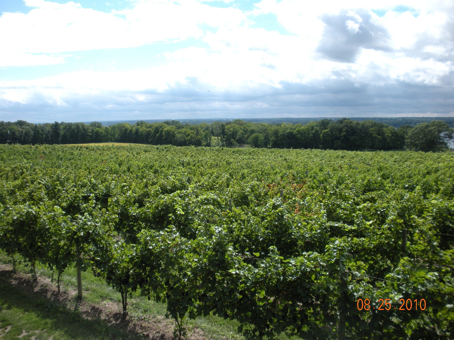 Finger Lakes 4th day (24).jpg