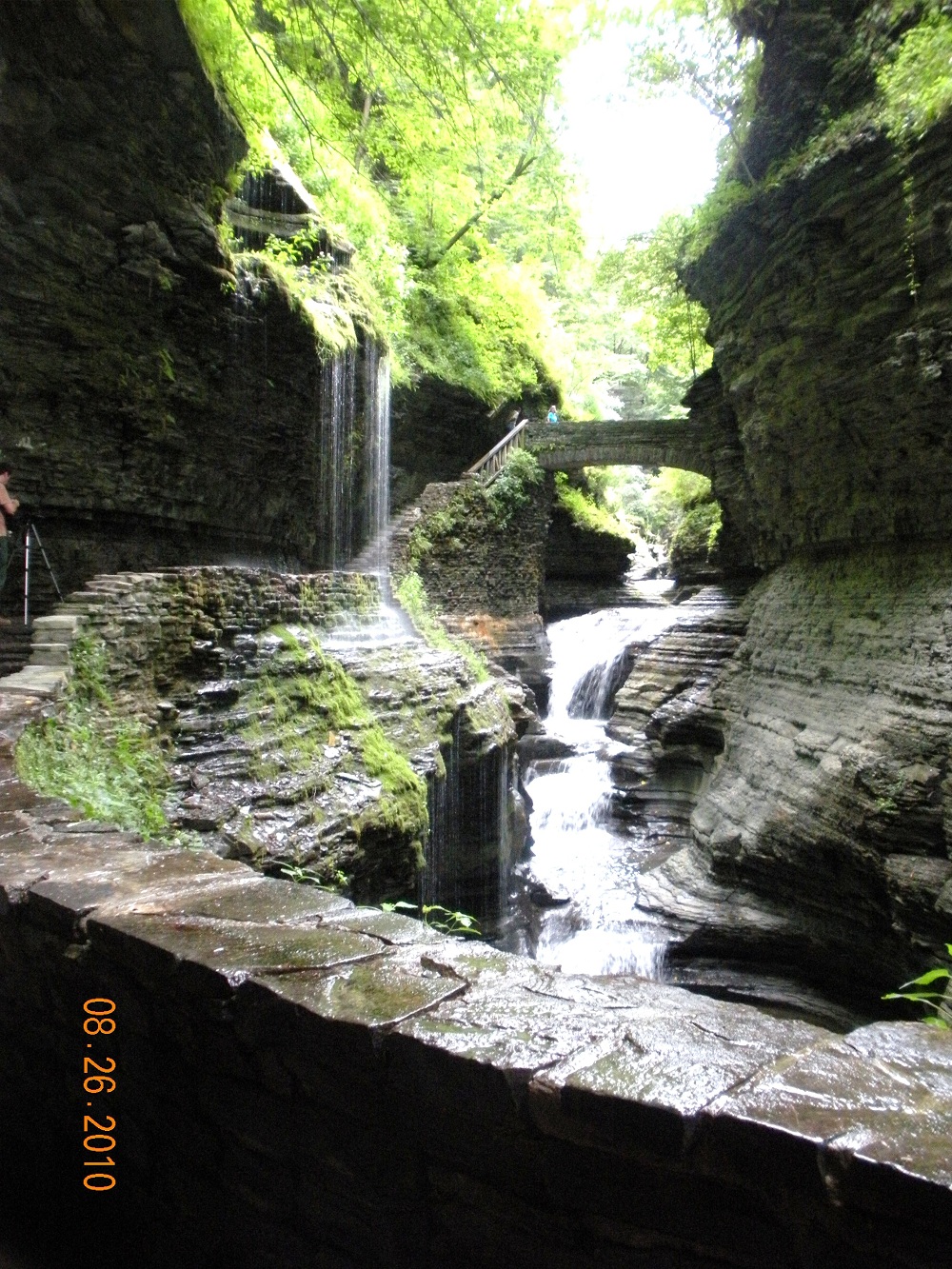 Finger Lakes 306.jpg