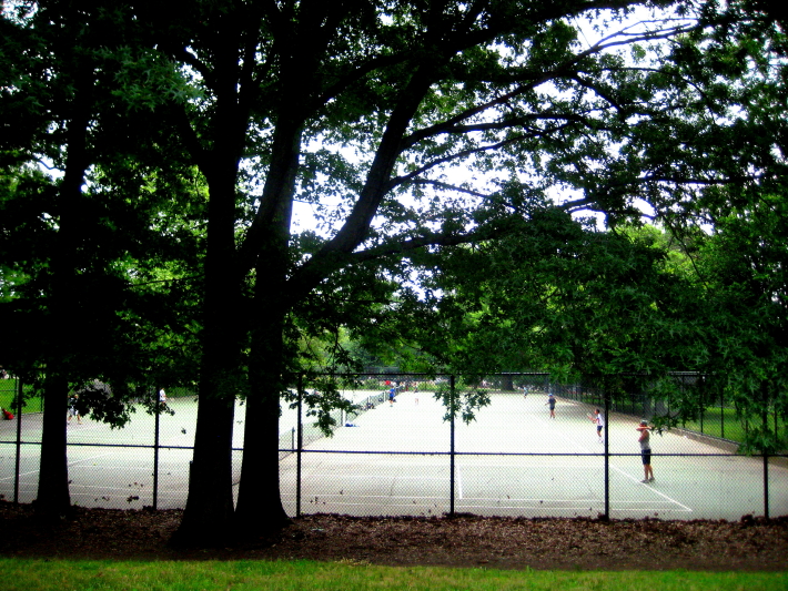 IMG_0001_775.jpg