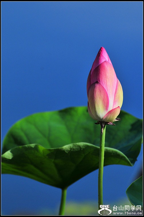 0DSC_48320.jpg