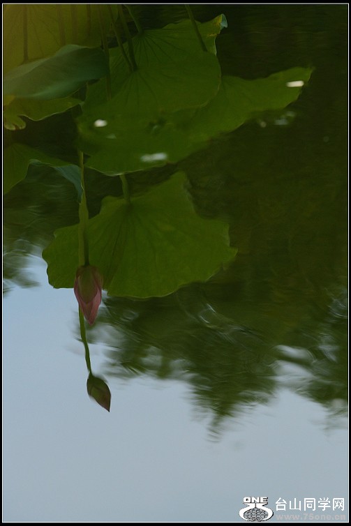 DSC_0067.JPG