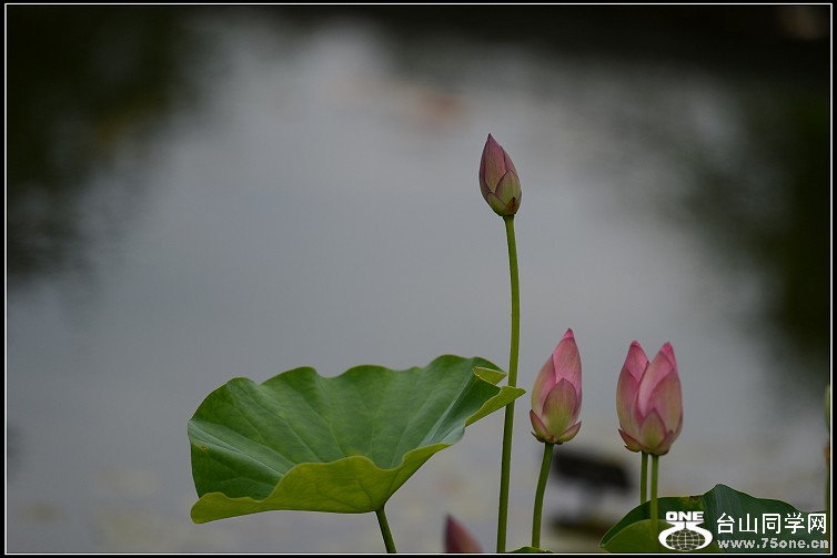 DSC_0060.JPG